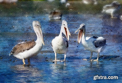  Get Creative with Photographic Textures