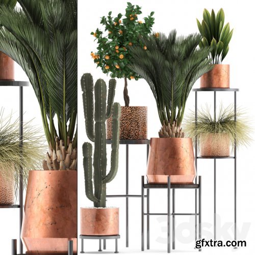 Plant collection 288. copper pot » GFxtra
