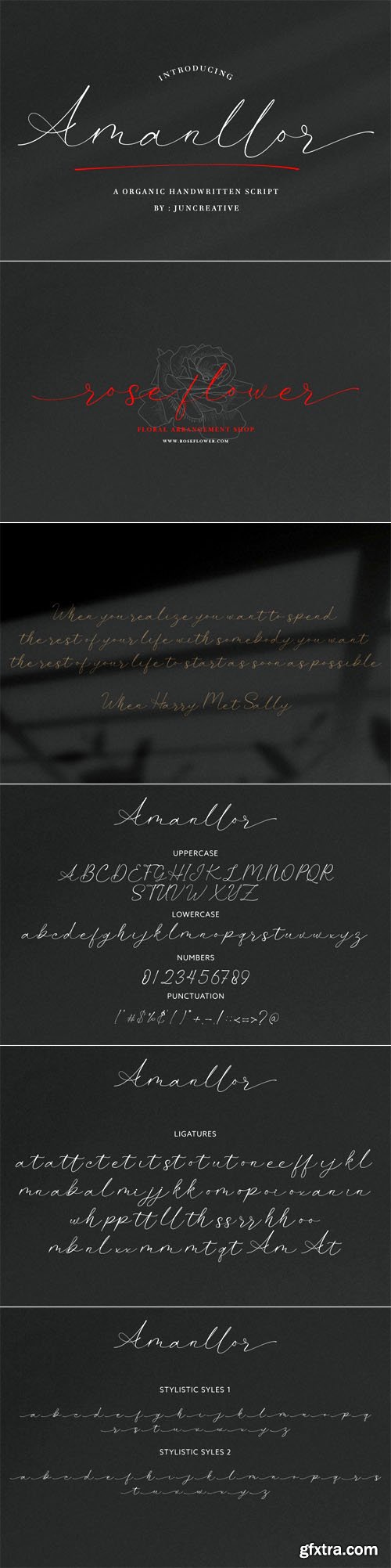 Amanllor - Organic Handwritten Script Font
