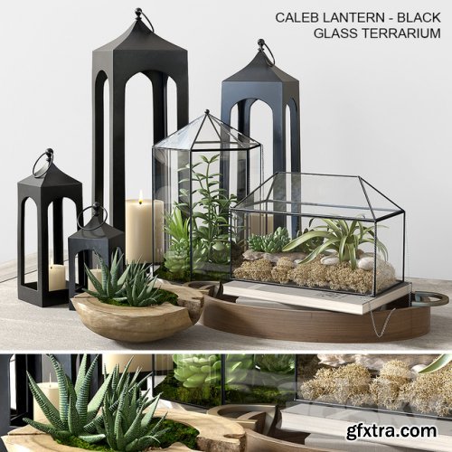 Pottery barn GLASS TERRARIUM