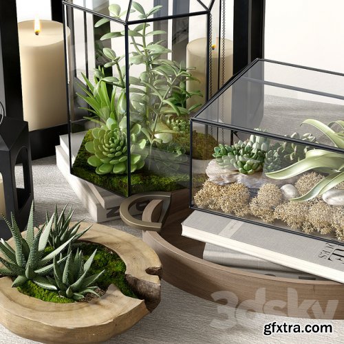 Pottery barn GLASS TERRARIUM » GFxtra