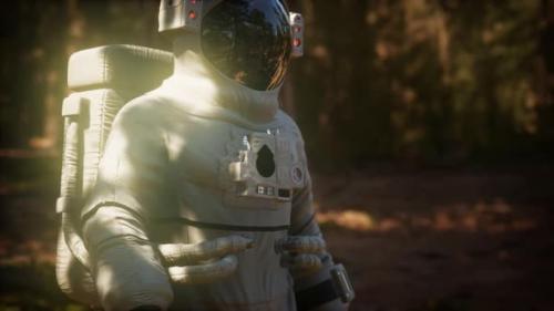 Videohive - Lonely Astronaut in Dark Forest - 38313866 - 38313866