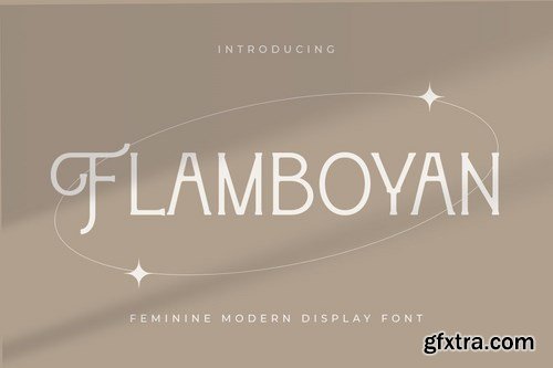 Flamboyan - Feminine Modern Display Font