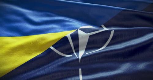Videohive - Ukraine and NATO waving flag animation loop - 38454330 - 38454330