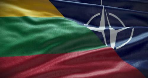 Videohive - Lithuania and NATO waving flag animation loop - 38455143 - 38455143