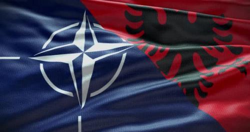 Videohive - Albania and NATO waving flag animation looped 4K - 38455159 - 38455159
