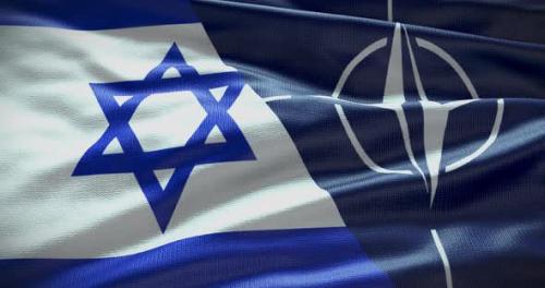 Videohive - Israel and NATO waving flag animation loop - 38455205 - 38455205