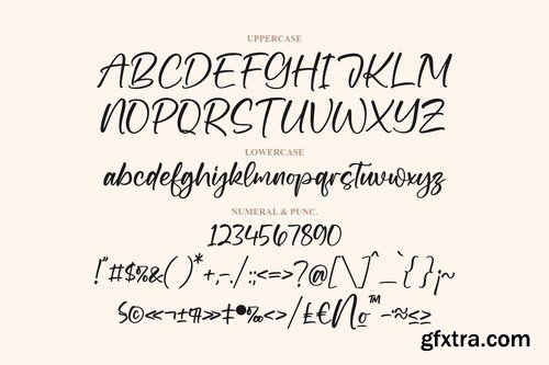 Diarytale Modern Script Font