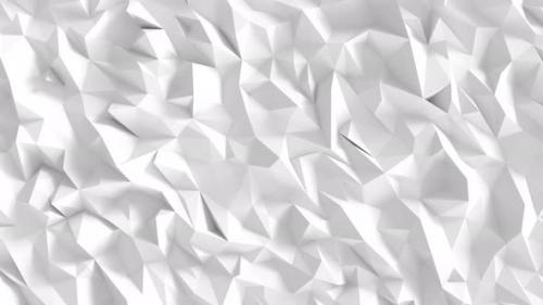 Videohive - White Polygon Background design. Abstract geometric backdrop - 38492719 - 38492719