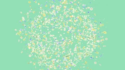 Videohive - Flower Burst Pastel Background 4K - 38458812 - 38458812
