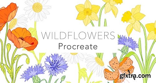 Illustrate Wildflowers With Line Art In Procreate