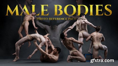 Artstation - Satine Zillah - Male Bodies- Photo Reference Pack For Artists