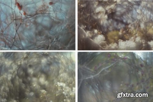 Swirly Bokeh Overlays, Bokeh Background