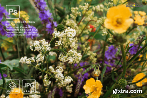 Digital Flower Backdrop, Flower Overlays