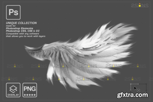 Angel Wings Photoshop Overlays
