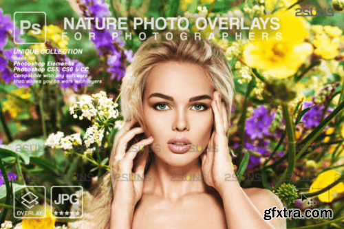 Digital Flower Backdrop, Flower Overlays