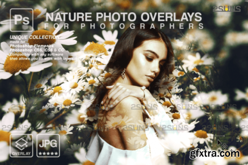 Digital Flower Backdrop, Flower Overlay