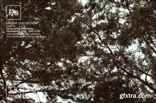 Digital Flower Backdrop, Flower Overlays