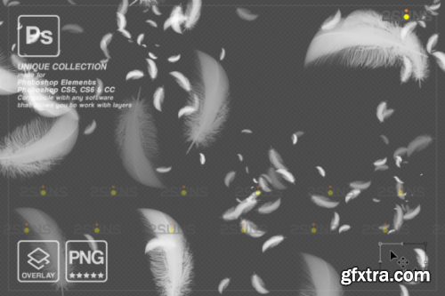  White Feather Photo Overlays PNG