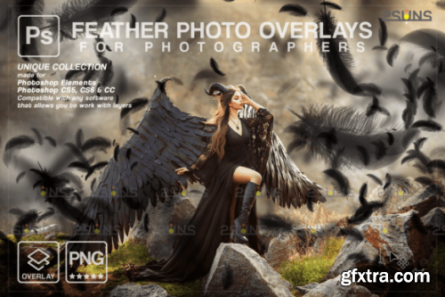  Black Feather Photoshop Overlay PNG
