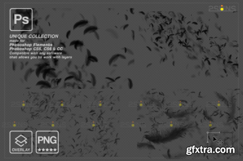  Black Feather Photoshop Overlay PNG