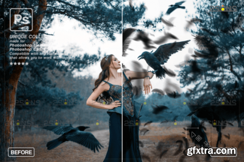  Black Feather Photoshop Overlay PNG