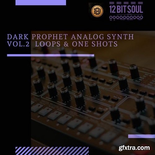 Divided Souls Dark Prophet Analog Synth VOL 2 WAV