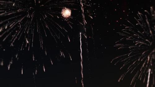 Videohive - Fireworks Celebrate - 38542708 - 38542708