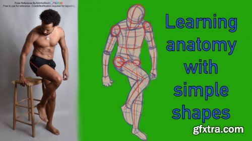  Learning anatomy with simple shapes