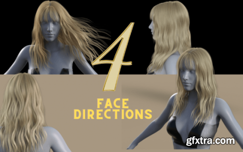 Long Flowy Hair Overlay Pack