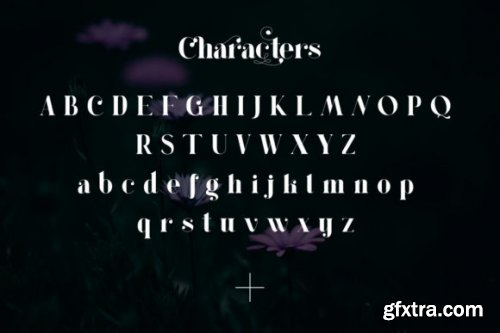  Aesther Font