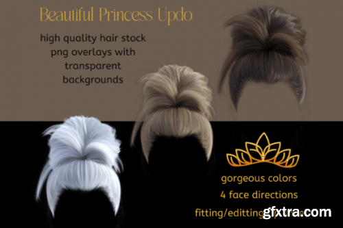 Princess Updo Hair