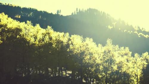 Videohive - Valley with Autumn Trees Among the Mountains Lit By the Sun at Sunset - 38950164 - 38950164