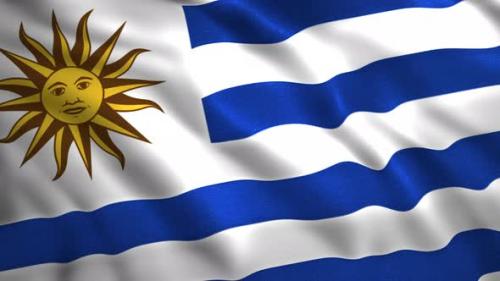 Videohive - Close Up of Abstract Uruguay Flag Animation Seamless Loop - 38950823 - 38950823