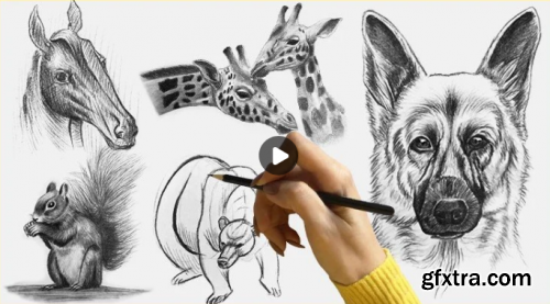 Animal Drawing - Draw and Sketch Animal with Pencil