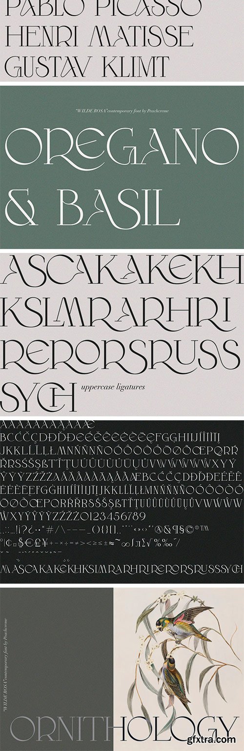 Wilde Rosa - Contemporary & Chic Font Wilde Rosa - Contemporary & Chic Font