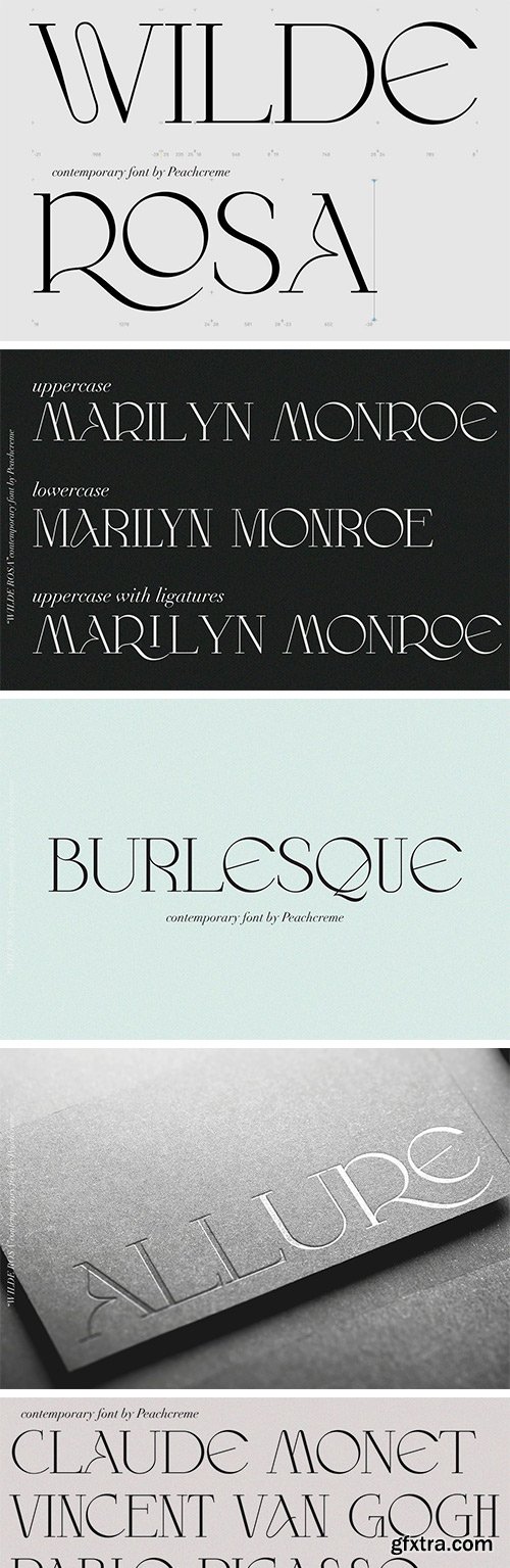 Wilde Rosa - Contemporary & Chic Font Wilde Rosa - Contemporary & Chic Font