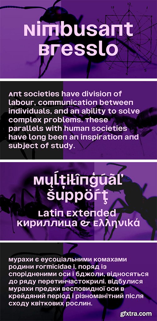 Nimbusant Bresslo Font Nimbusant Bresslo Font