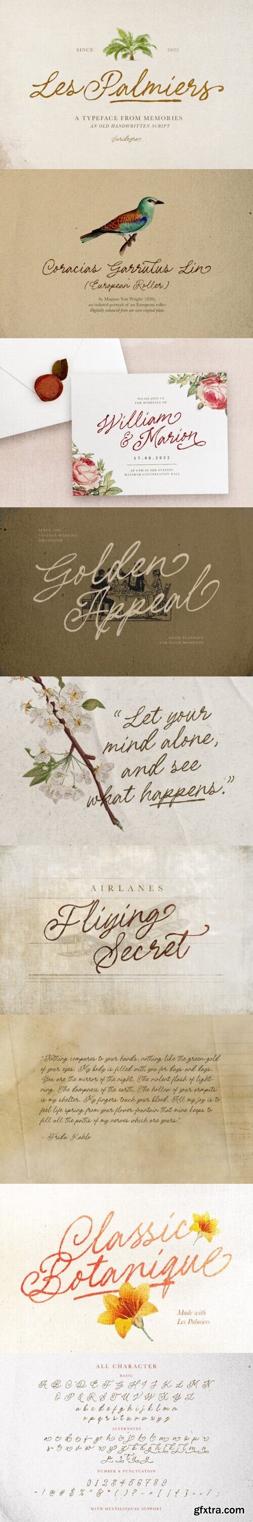 GraphicRiver - Les Palmiers - Handwritten Script 39492134