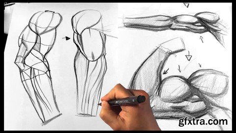 How To Draw Arms - Arm I Hands Figure Drawing Anatomy Course