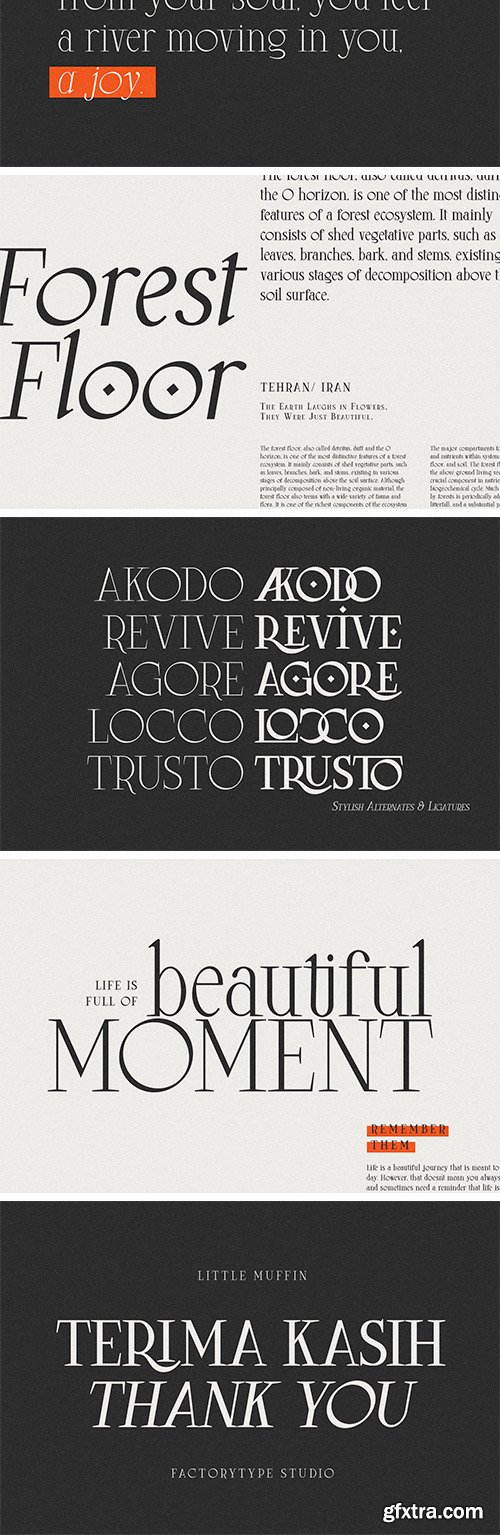 Little Muffin Font Family Little Muffin Font Family