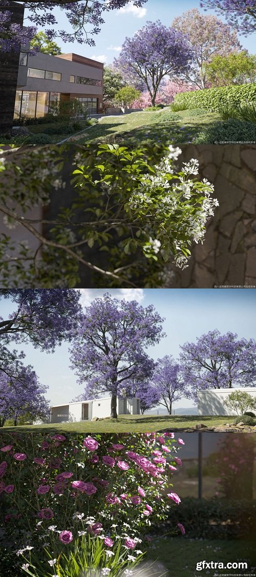 Maxtree - Plant Models Vol.107 Maxtree - Plant Models Vol.107