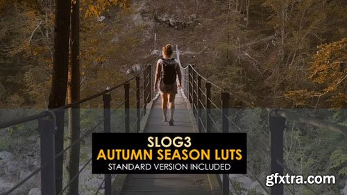 MotionArray - Slog3 Autumn Season Luts - 1039612