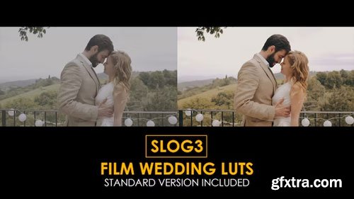 MotionArray - Slog3 Film Wedding And Standard Luts - 1031378