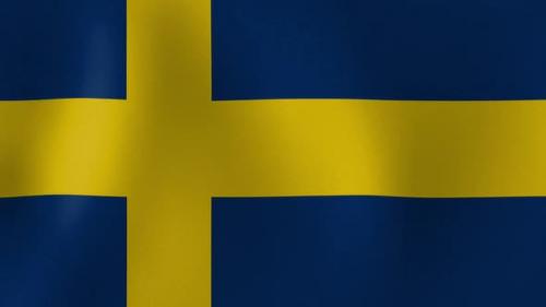 Videohive - Sweden Flag Waving Closeup Background - 41151048 - 41151048