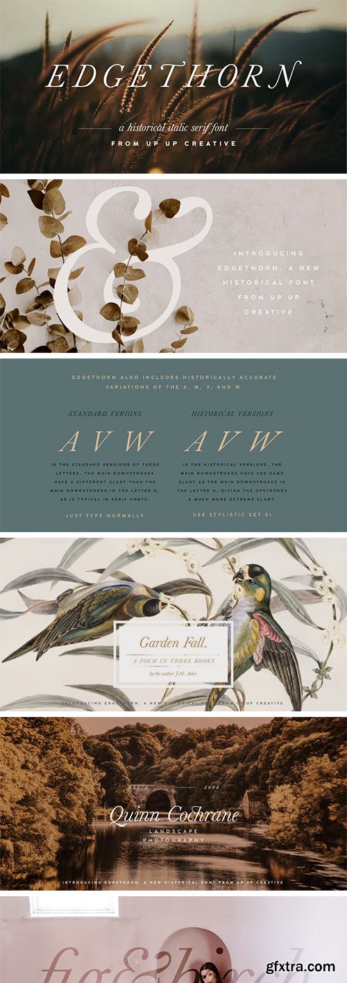 Edgethorn Font Edgethorn Font