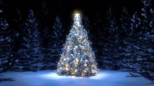 Videohive - Christmas Tree in Forest 4K - 41834765 - 41834765
