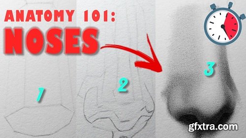 Human Anatomy 101: Nose drawing basics