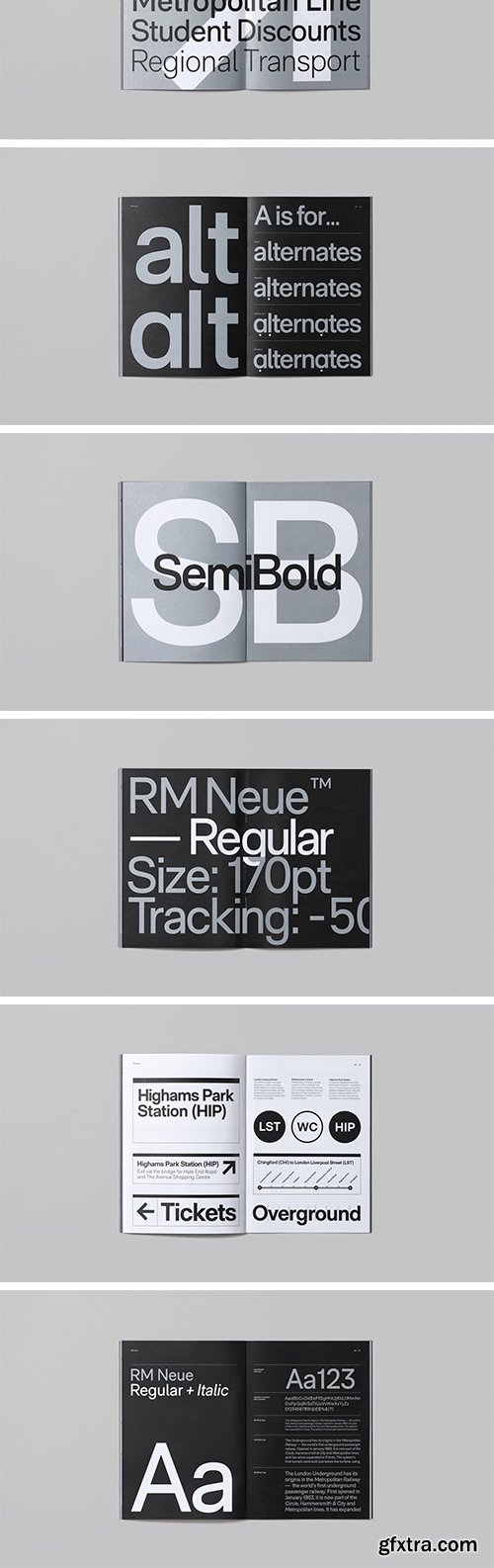RM Neue Font Family (Updated) RM Neue Font Family (Updated)