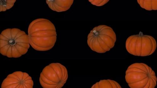 Videohive - Pumkin Falling on the Black Background - 41982715 - 41982715